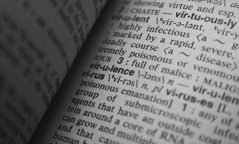 cultural keyword research hub