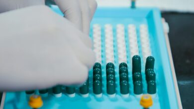 evaluate zayepro pharmaceuticals ltd viability