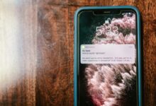 fraud awareness scam caller databases