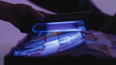 fraud discovery robocall verification