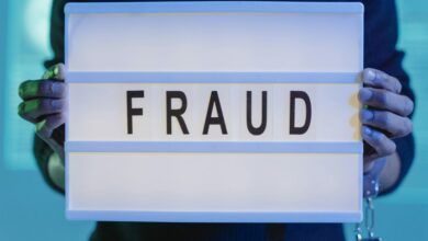 fraud investigation portal scam