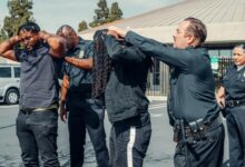 recidivism legal concept insight portal