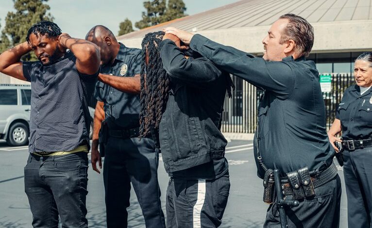 recidivism legal concept insight portal