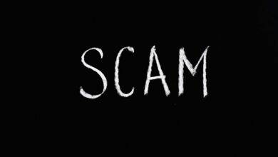 scam investigation discovery portal