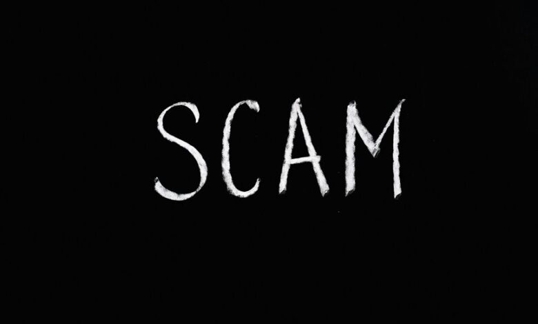 scam investigation discovery portal
