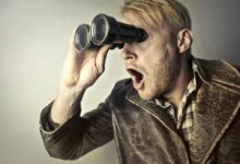 social media profile discovery hub