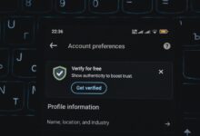 spam verification insight hub