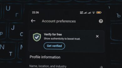 spam verification insight hub