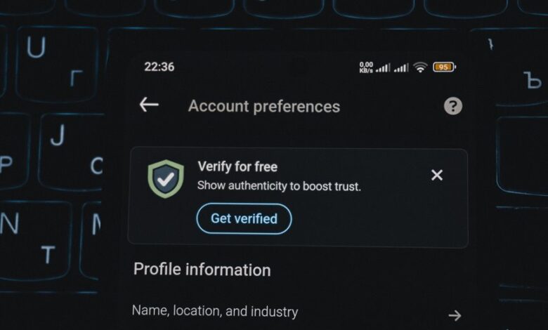 spam verification insight hub