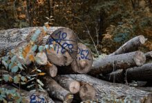 inspect registry numbers for specific logs