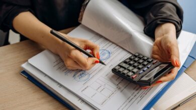 loan numbers verification reports