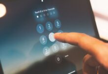 public number registry lookup