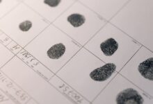 registry numbers located for four entries
