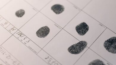 registry numbers located for four entries