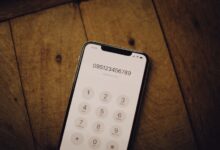 registry search results for specific numbers