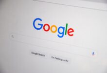 review registry search results ids